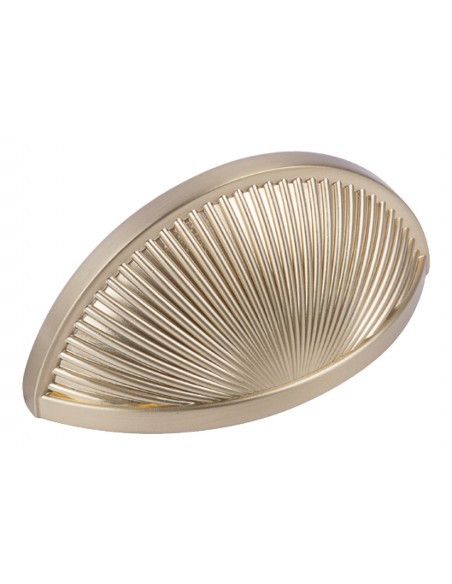 Shell Cup Door Handle Golden Champagne Pull 76mm Centres Crawford  13350143