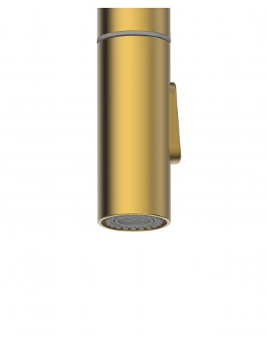 Clearwater Topaz TOP30 Spray spout & hose, Brushed brass