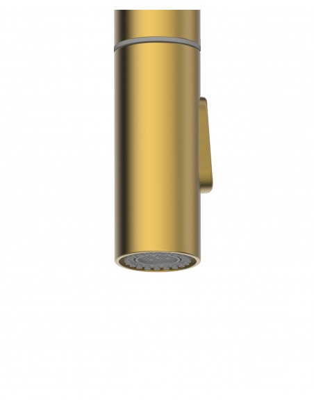 Clearwater Topaz TOP30 Spray spout & hose, Brushed brass
