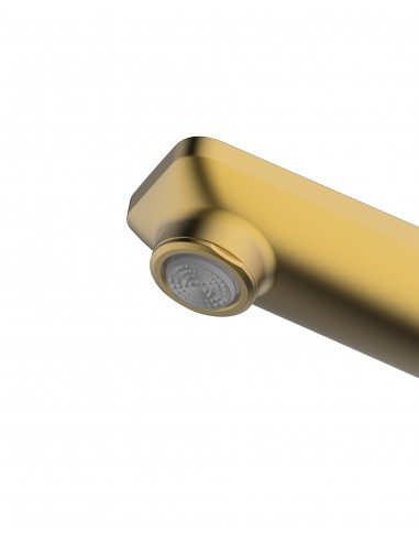Clearwater Levant Kitchen Spray Tap LEV20BB Brushed Brass