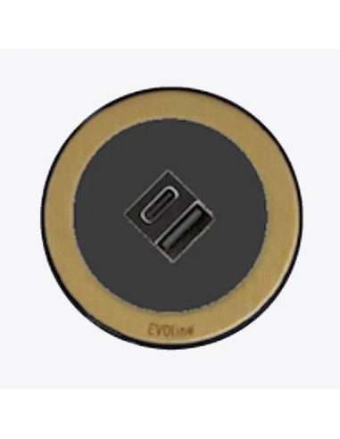 EVOline One Socket Double USB Black & Brass Effect Round Desk Charger ONE.Q18464.1