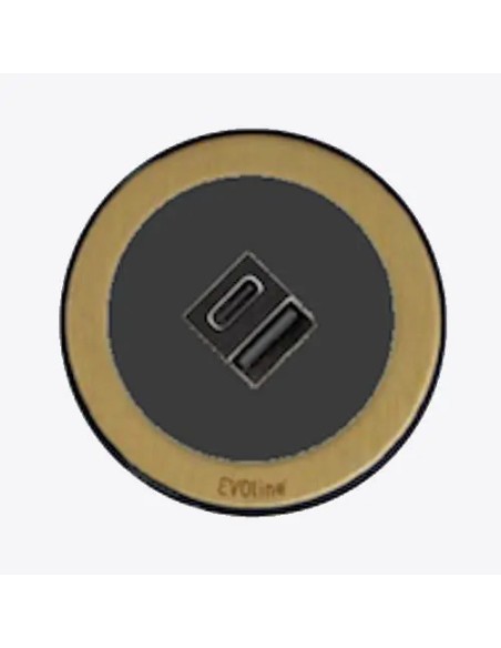 EVOline One Socket Double USB Black & Brass Effect Round Desk Charger ONE.Q18464.1