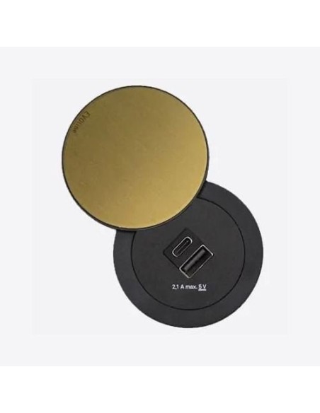 EVOline One Double USB Swivel Lid Black Brass Effect  A+C Desk Charge ONE.Q18470.1